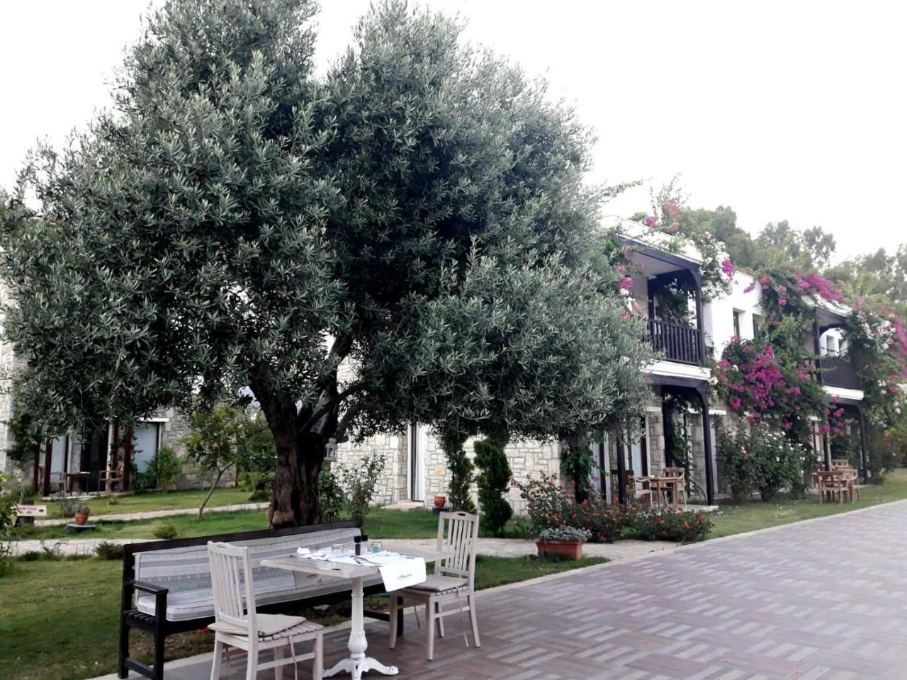 Datca Doris Hotel Exterior photo